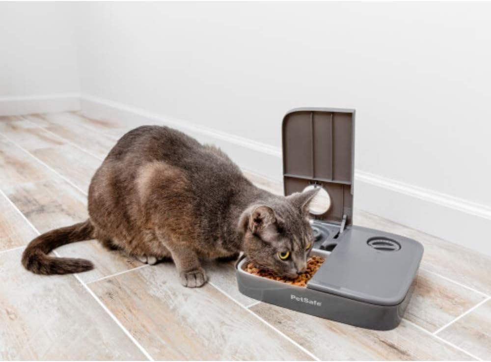 PetSafe Automatic 2 Meal Pet Feeder